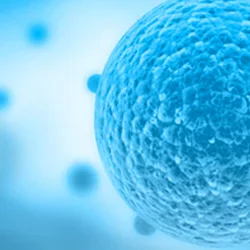 Moleculaire resistentiemechanismen bij borstkanker bieden aanknopingspunten voor combinatie- en doelgerichte therapieën
