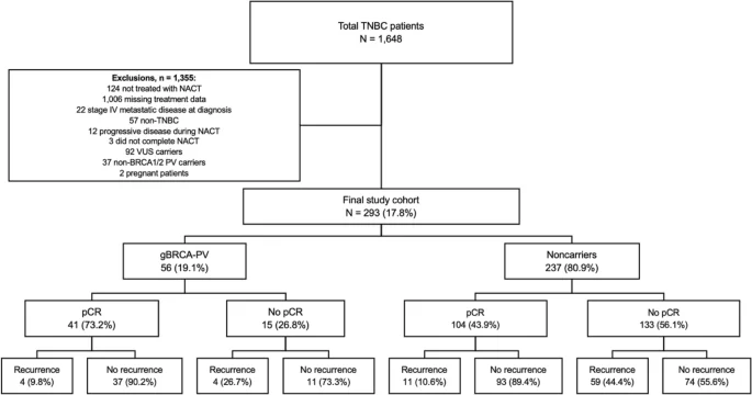 Germline BRCA1/2-mutatie hoger pCR bij triple-negatief borstkanker, maar geen overlevingsvoordeel aangetoond