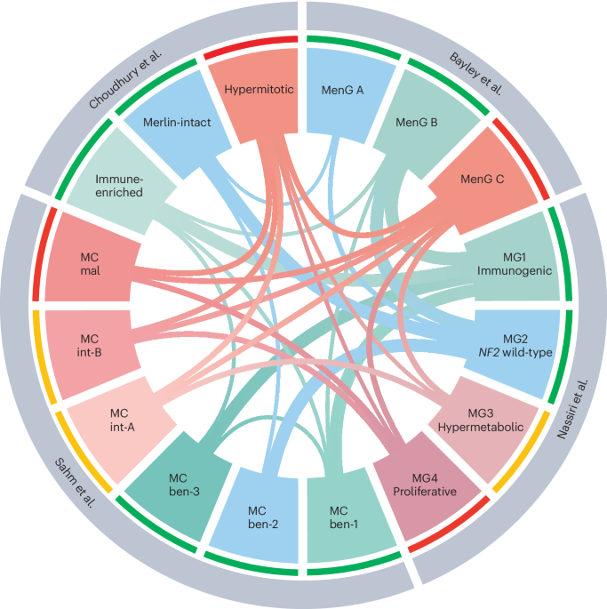 Nature Reviews Clinical Oncology: multidisciplinaire behandeling van meningiomen in precision-oncology tijdperk