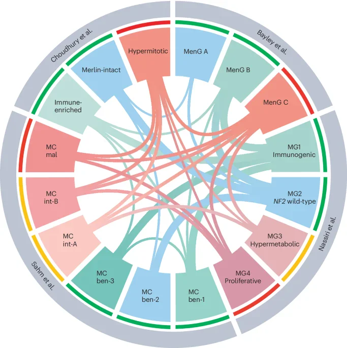 Nature Reviews Clinical Oncology: multidisciplinaire behandeling van meningiomen in precision-oncology tijdperk
