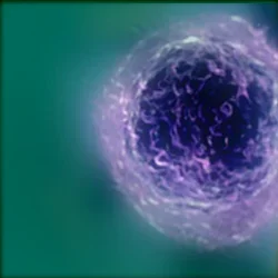 Multimodale behandeling en opkomende immunotherapie bij cervicale neuro-endocriene tumoren