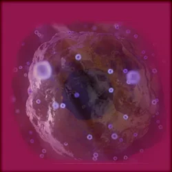 Neoadjuvante chemo-immunotherapie blijft standaard bij triple-negatief borstkarcinoom, biomarkers nog niet als enige beslissers